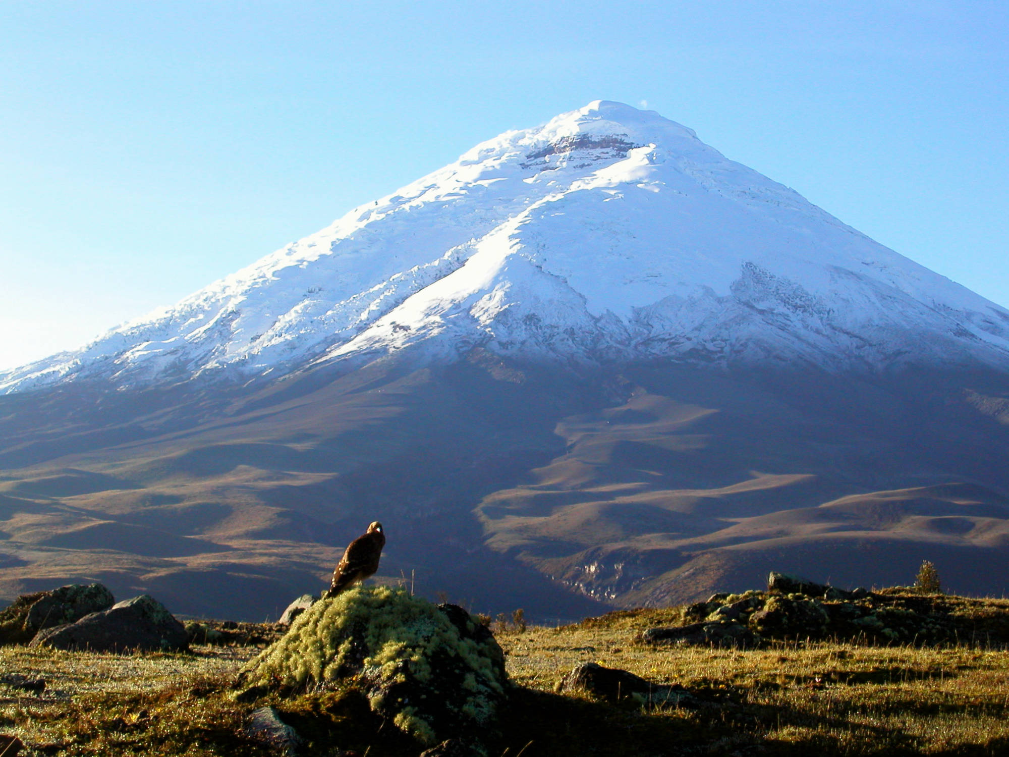 Cuello de Luna Mountain Lodge - hiking, climbing, mountain biking, birding.......