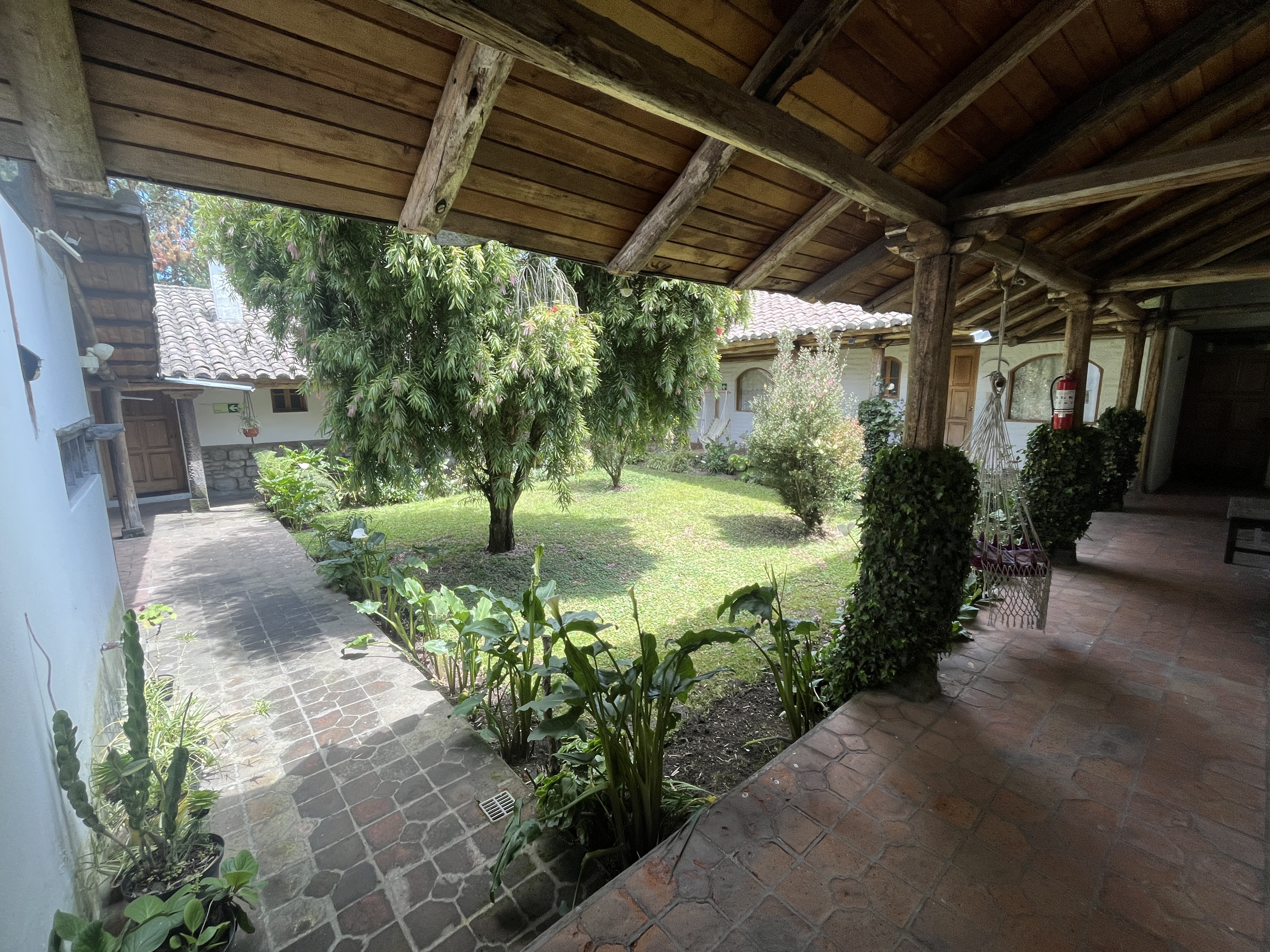 Cuello de Luna patio interior