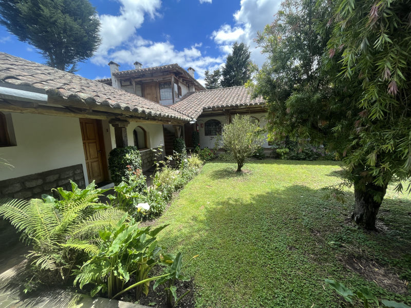 Cuello de Luna patio interior