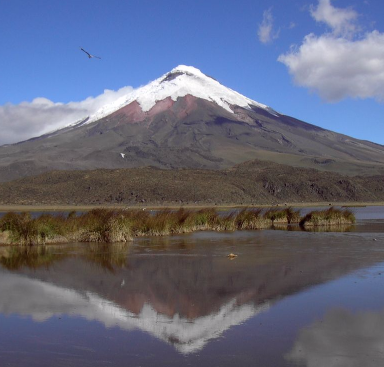 Daytour Cotopaxi National Park