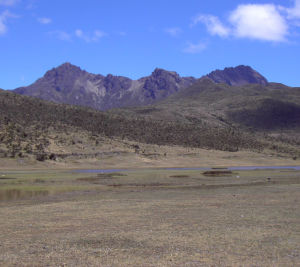 Rumiñahui volcano - Cotopaxi National Park Day Tour